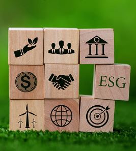 مبانی نظری عملکرد پایداری